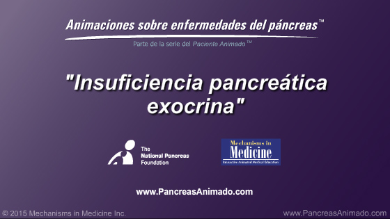 Insuficiencia pancreática exocrina (IPE) - Slide Show - 2