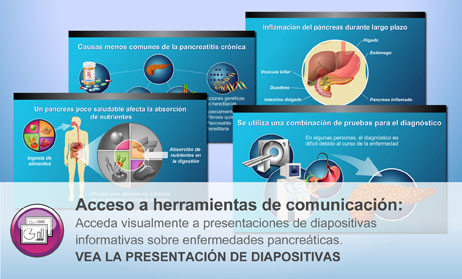 Acceda visualmente a presentaciones de diapositivas informativas sobre enfermedades pancreáticas. VEA LA PRESENTACIÓN DE DIAPOSITIVAS